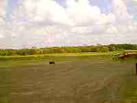 05_10_2_Bushy_Creek_05.JPG