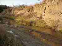 a07.jpg