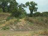 100_7772.MOV