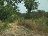 100_7773.MOV