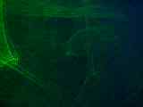 100_0135.MOV