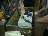 100_0163.MOV