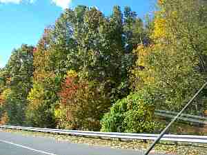 100_2593.JPG
