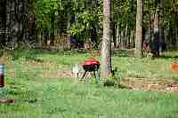 dsc0794.jpg